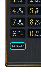 写真：セルフメニューキー