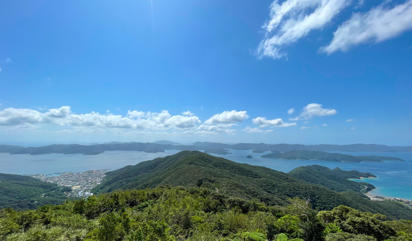 奄美大島の風景