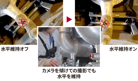 水平維持
