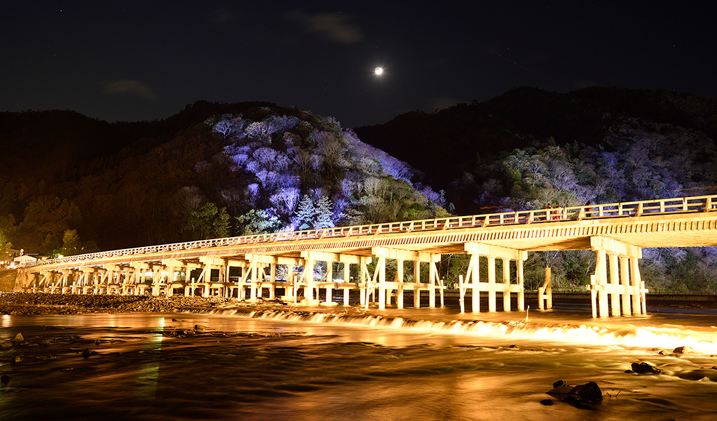 画像：渡月橋ライトアップ 提供：京都・花灯路推進協議会
