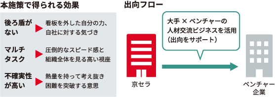 図:多様な経験を持つ人材の育成