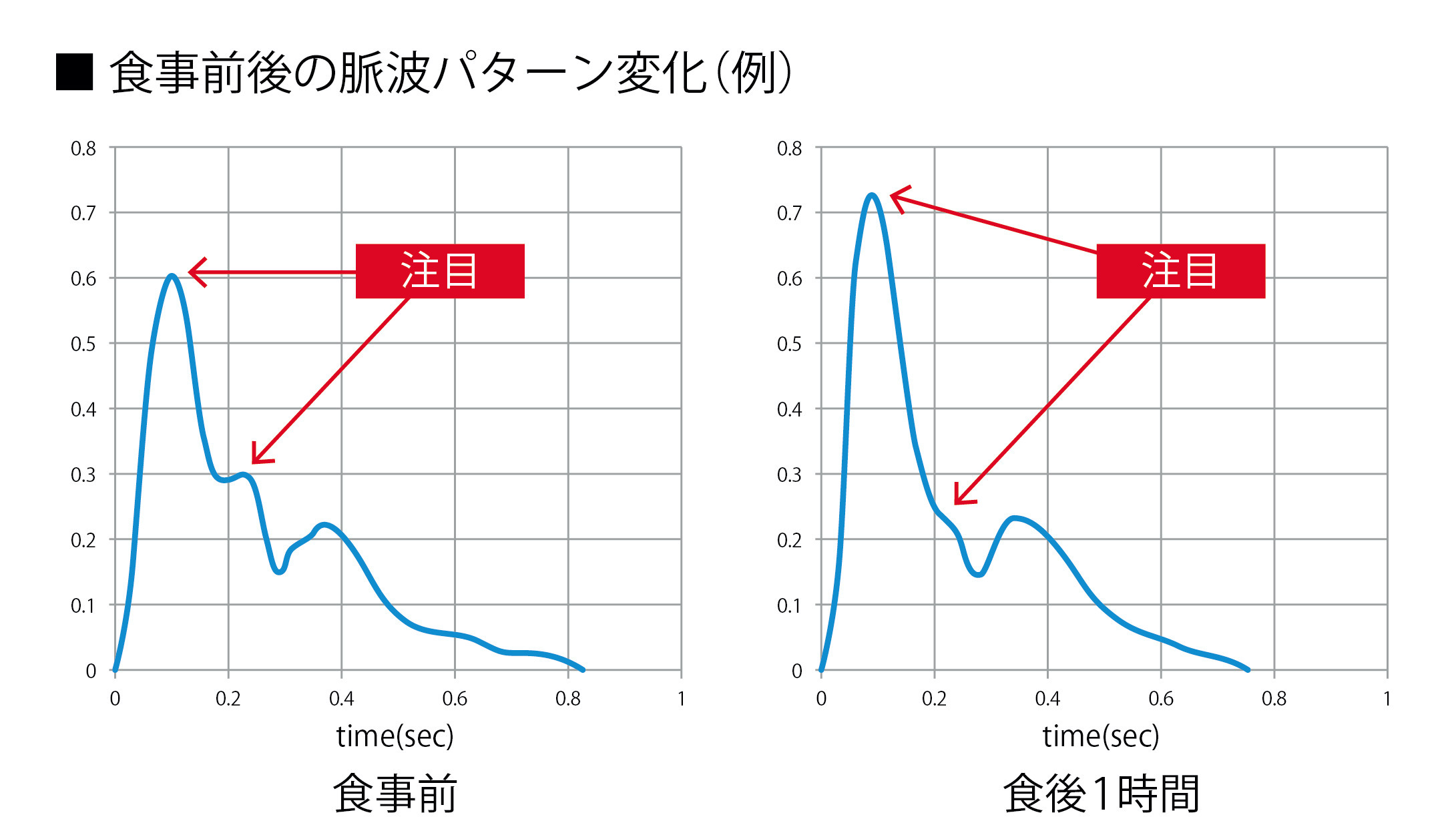 食事前後の脈波パターン変化（例）